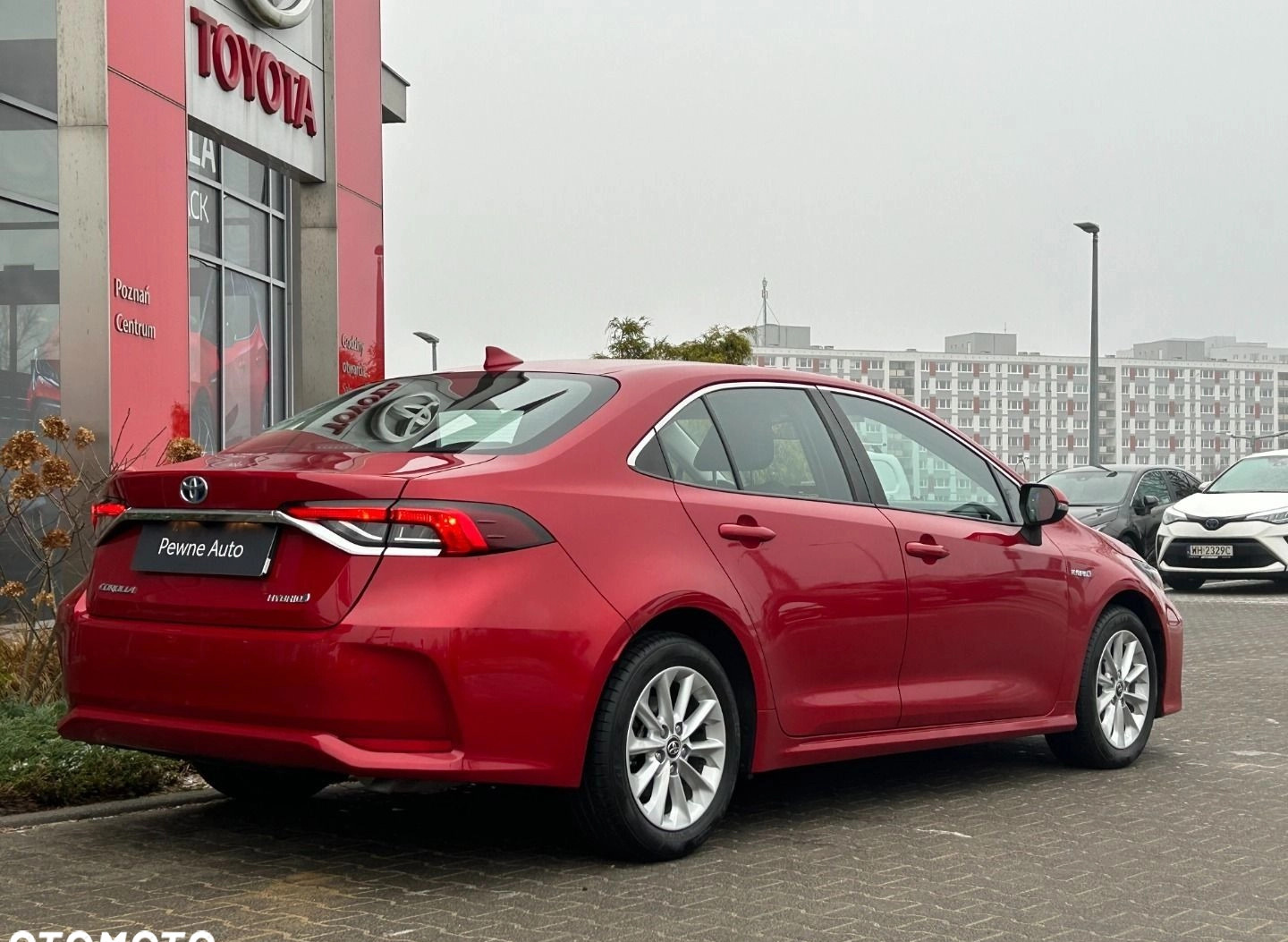 Toyota Corolla cena 79800 przebieg: 65093, rok produkcji 2019 z Poznań małe 79